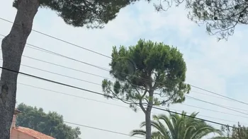 Incendie à Saint-Raphaël - Var - 11 juillet 2026 - Feux de forêts et d'espaces naturels