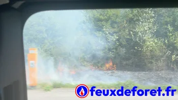 Incendie à Beauchemin - Haute-Marne - 11 juillet 2026 - Feux de forêts et d'espaces naturels