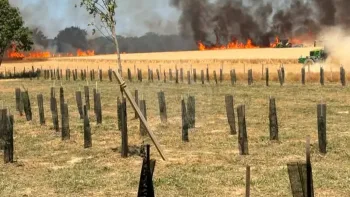Incendie à Guyancourt - Yvelines - 11 juillet 2026 - Feux de forêts et d'espaces naturels