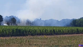 Incendie à Martillac - Gironde - 11 juillet 2026 - Feux de forêts et d'espaces naturels