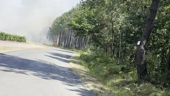 Incendie à Martillac - Gironde - 11 juillet 2026 - Feux de forêts et d'espaces naturels
