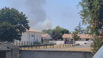 Incendie à Martillac - Gironde - 11 juillet 2026 - Feux de forêts et d'espaces naturels