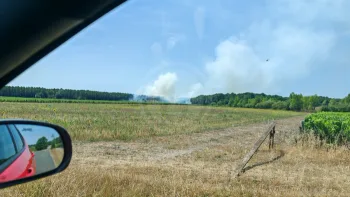 Incendie à Martillac - Gironde - 11 juillet 2026 - Feux de forêts et d'espaces naturels