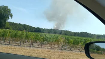 Incendie à Martillac - Gironde - 11 juillet 2026 - Feux de forêts et d'espaces naturels