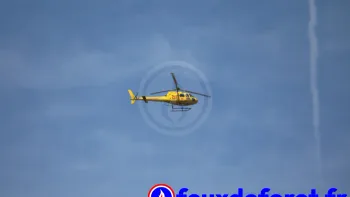 Incendie à Martillac - Gironde - 11 juillet 2026 - Feux de forêts et d'espaces naturels