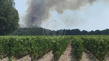 Incendie à Martillac - Gironde - 11 juillet 2026 - Feux de forêts et d'espaces naturels