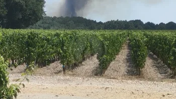 Incendie à Martillac - Gironde - 11 juillet 2026 - Feux de forêts et d'espaces naturels