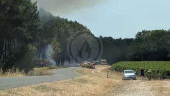 Incendie à Martillac - Gironde - 11 juillet 2026 - Feux de forêts et d'espaces naturels