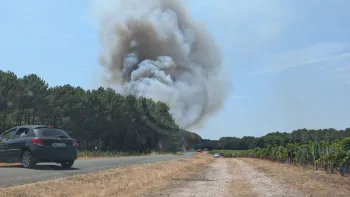 Incendie à Martillac - Gironde - 11 juillet 2026 - Feux de forêts et d'espaces naturels