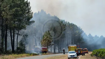 Incendie à Martillac - Gironde - 11 juillet 2026 - Feux de forêts et d'espaces naturels