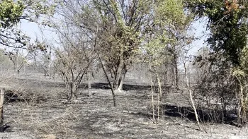Incendie à Cieurac - Lot - 11 juillet 2026 - Feux de forêts et d'espaces naturels