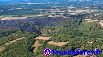 Incendie à Cieurac - Lot - 11 juillet 2026 - Feux de forêts et d'espaces naturels