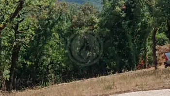 Incendie à Cieurac - Lot - 11 juillet 2026 - Feux de forêts et d'espaces naturels