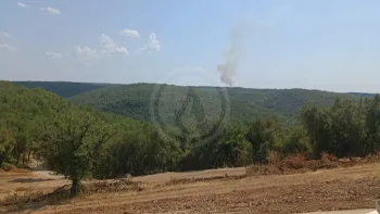Incendie à Cieurac - Lot - 11 juillet 2026 - Feux de forêts et d'espaces naturels