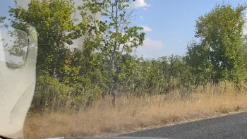 Incendie à Cieurac - Lot - 11 juillet 2026 - Feux de forêts et d'espaces naturels
