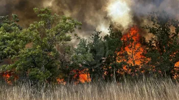 Incendie à Cieurac - Lot - 11 juillet 2026 - Feux de forêts et d'espaces naturels