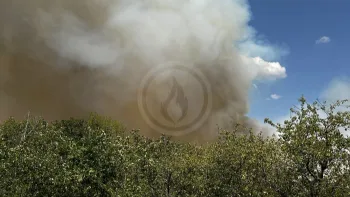 Incendie à Cieurac - Lot - 11 juillet 2026 - Feux de forêts et d'espaces naturels