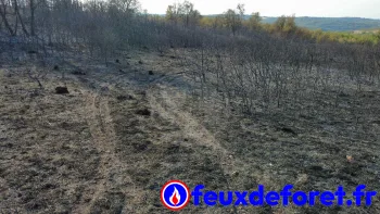 Incendie à Cieurac - Lot - 11 juillet 2026 - Feux de forêts et d'espaces naturels