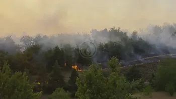 Incendie à Cieurac - Lot - 11 juillet 2026 - Feux de forêts et d'espaces naturels