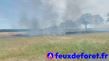 Incendie à Villiers-en-Bière - Seine-et-Marne - 11 juillet 2026 - Feux de forêts et d'espaces naturels