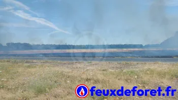 Incendie à Villiers-en-Bière - Seine-et-Marne - 11 juillet 2026 - Feux de forêts et d'espaces naturels