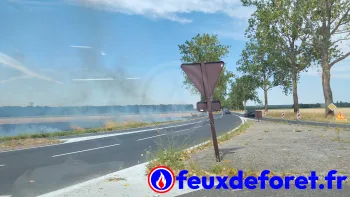 Incendie à Villiers-en-Bière - Seine-et-Marne - 11 juillet 2026 - Feux de forêts et d'espaces naturels