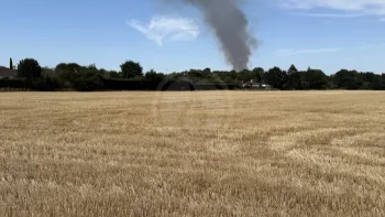 Incendie à Saint-Vrain - Essonne - 11 juillet 2026 - Feux de forêts et d'espaces naturels