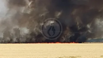 Incendie à Saint-Vrain - Essonne - 11 juillet 2026 - Feux de forêts et d'espaces naturels
