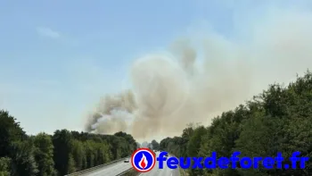 Incendie à Boivre-la-Vallée - Vienne - 11 juillet 2026 - Feux de forêts et d'espaces naturels
