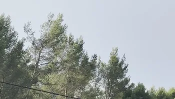Incendie à Cuers - Var - 11 juillet 2026 - Feux de forêts et d'espaces naturels
