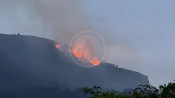 Incendie à Laruns - Pyrénées-Atlantiques - 11 juillet 2026 - Feux de forêts et d'espaces naturels