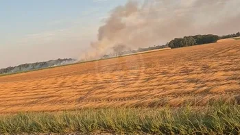 Incendie à Le Troncq - Eure - 11 juillet 2026 - Feux de forêts et d'espaces naturels