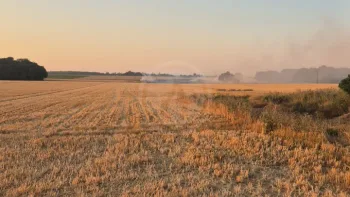 Incendie à Le Troncq - Eure - 11 juillet 2026 - Feux de forêts et d'espaces naturels