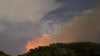 Incendie à Septèmes-les-Vallons - Bouches-du-Rhône - 11 juillet 2026 - Feux de forêts et d'espaces naturels