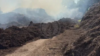 Incendie à Monterblanc - Morbihan - 12 juillet 2026 - Feux de forêts et d'espaces naturels
