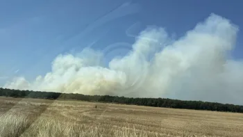 Incendie à Saint-Cyr-en-Val - Loiret - 12 juillet 2026 - Feux de forêts et d'espaces naturels
