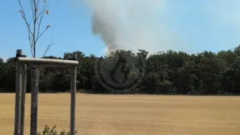 Incendie à Saint-Cyr-en-Val - Loiret - 12 juillet 2026 - Feux de forêts et d'espaces naturels