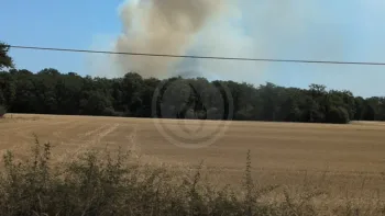 Incendie à Saint-Cyr-en-Val - Loiret - 12 juillet 2026 - Feux de forêts et d'espaces naturels