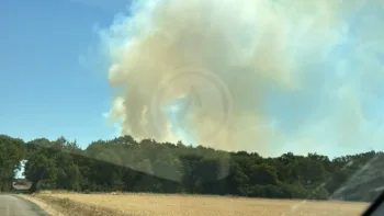 Incendie à Saint-Cyr-en-Val - Loiret - 12 juillet 2026 - Feux de forêts et d'espaces naturels