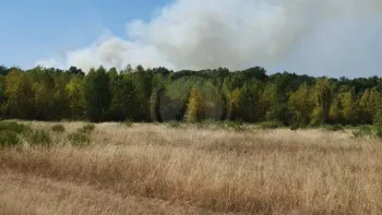 Incendie à Saint-Cyr-en-Val - Loiret - 12 juillet 2026 - Feux de forêts et d'espaces naturels