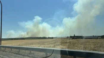Incendie à Saint-Cyr-en-Val - Loiret - 12 juillet 2026 - Feux de forêts et d'espaces naturels