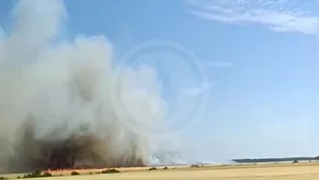 Incendie à Laons - Eure-et-Loir - 12 juillet 2026 - Feux de forêts et d'espaces naturels