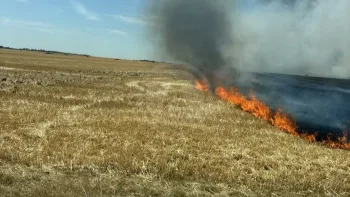 Incendie à Laons - Eure-et-Loir - 12 juillet 2026 - Feux de forêts et d'espaces naturels