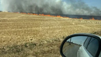 Incendie à Laons - Eure-et-Loir - 12 juillet 2026 - Feux de forêts et d'espaces naturels