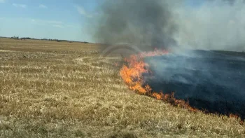 Incendie à Laons - Eure-et-Loir - 12 juillet 2026 - Feux de forêts et d'espaces naturels