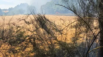 Incendie à Roussines - Charente - 12 juillet 2026 - Feux de forêts et d'espaces naturels