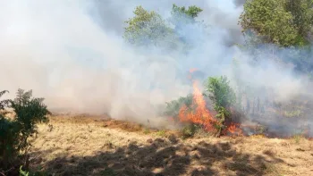 Incendie à Roussines - Charente - 12 juillet 2026 - Feux de forêts et d'espaces naturels