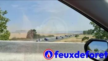 Incendie à Saint-Fargeau-Ponthierry - Seine-et-Marne - 12 juillet 2026 - Feux de forêts et d'espaces naturels