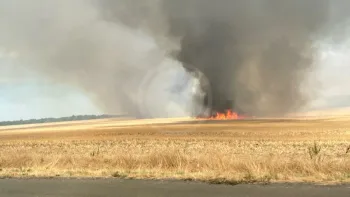 Incendie à Saint-Fargeau-Ponthierry - Seine-et-Marne - 12 juillet 2026 - Feux de forêts et d'espaces naturels