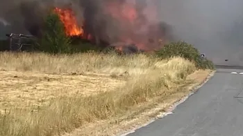 Incendie à Vineuil - Loir-et-Cher - 12 juillet 2026 - Feux de forêts et d'espaces naturels